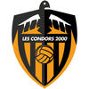 Condors Seniors Entreprise 1