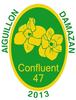 Confluent Foot 47 Seniors 1