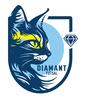 Diamant Futsal Seniors F 2