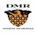 logo Domene Metropole Rugby