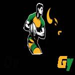 logo Ovale GY