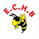 logo Eclair Chauve Handball