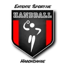 logo ES Hagondange Handball