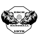 logo ES Haylande HB