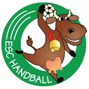 logo Esperance Sportive Chateauneuf la Foret Handball