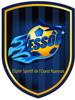 Es.S. Ouest Roannais Seniors 1