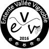 EVV U13 1
