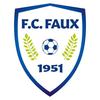 Faux FC U13 1