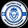 FC Artemare Seniors 1