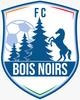 FC Bois Noirs Seniors 1