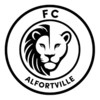 FC D'alfortville Seniors 12