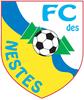 FC des Nestes Seniors 1