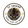 logo FC Jaguar Saint Eloy les Mines