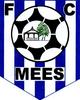 FC Mees U13 1