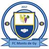 FC Monts de GY Seniors 1