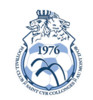 FC St Cyr - Collon U13 1