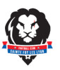 FC Ste Foy les Lyo U18 F 1