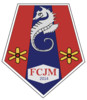 Fcjm Dijon Seniors 1