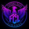 FCL Seniors Futsal 1