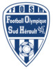 FO Sud Herault Seniors 1