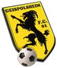 Geispolsheim FC Vétérans 51