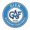 Gien Academy Footbal Seniors 1