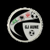logo GJ Aune