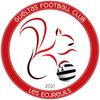 Gueltas FC Seniors 1