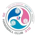 logo Handball Club 310