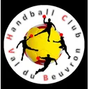 logo Handball Club Val du Beuvron