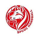 logo Handball la Colle St Paul