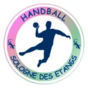 logo Handball Sologne des Etangs