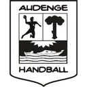 logo Hbc Audengeois