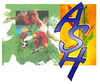 Heiligenstein AS U15 1