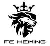 Heming FC U13 1