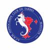 Hippocampe de Tarbes Loisirs 1