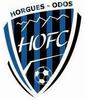 Horgues Odos FC Seniors 1
