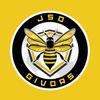 JSt.O. Givors Seniors 1