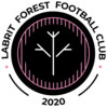 Labrit Forest FC Seniors 1