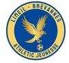 Limeil Brevannes AJ U16 1