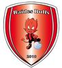 logo L/les Raides Bulls 2