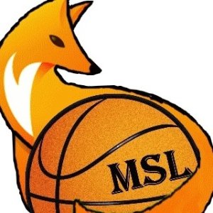 logo Minervois Sports et Loisirs