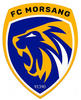 Morsang Sur Orge FC U16 2