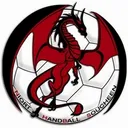 logo Niort HB Soucheen