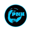 logo Pays des Nestes Handball