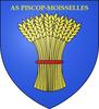 Piscop Moisselles AS Seniors 1