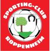 Roppenheim SC Seniors 1
