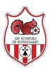 Roudouallec EC Seniors 1