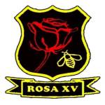 logo Rugby Olympique Saint Andiolais XV