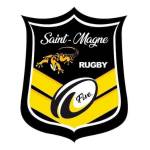 logo Les Salamandres de Saint Magne